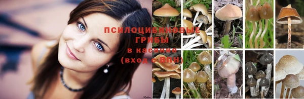 гашик Покровск