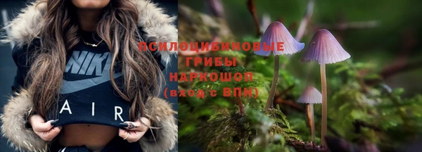 молекула духа Покров