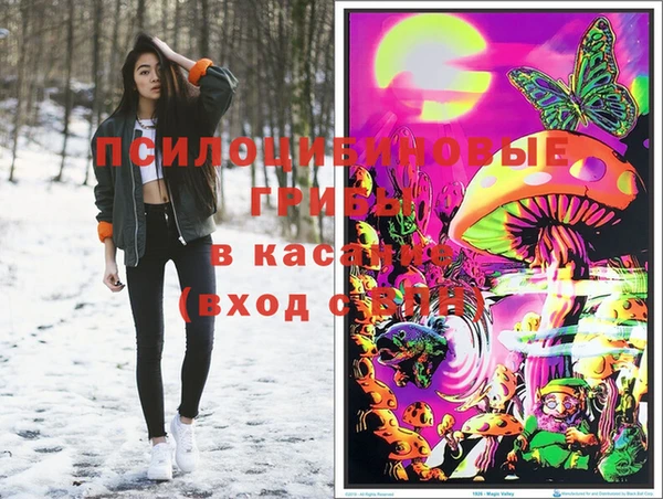 гашик Покровск