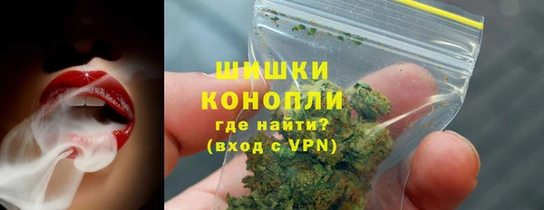 молекула духа Покров