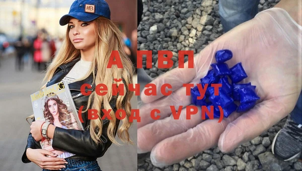 гашик Покровск