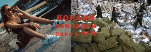 хмурый Аша