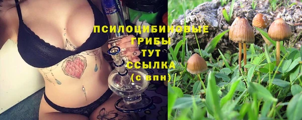 наркотики Приозерск