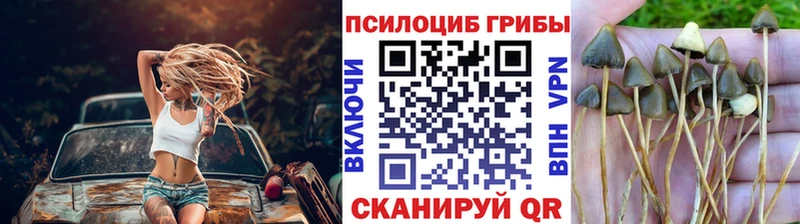 Псилоцибиновые грибы Magic Shrooms Купить закладки Гусев
